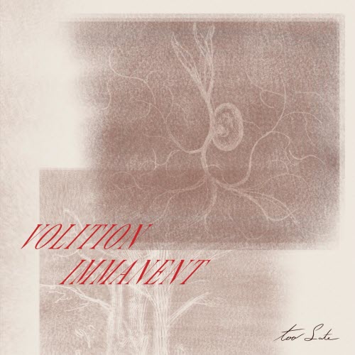 Volition Immanent - Too Late (2026)