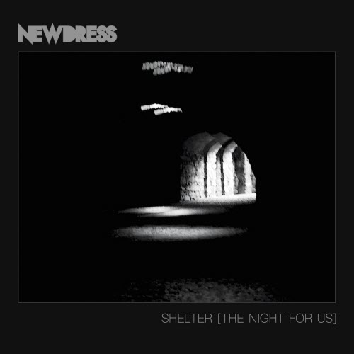 Newdress - Shelter (The Night For Us) (2026) [Single]