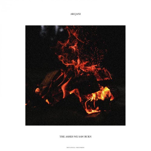 Ari Jani - This Ashes We Saw Burn (2020) [Single]