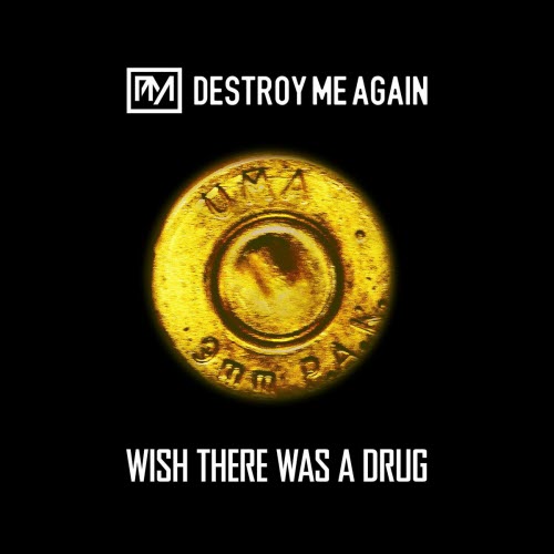 Destroy Me Again - Wish There Was A Drug (2026) [Single]