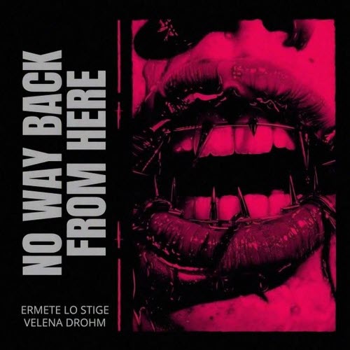 Ermete Lo Stige - No Way Back From Here (2026) [Single]