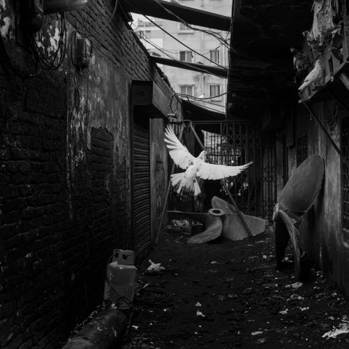 Franc Cale - Reality Has No Shape (2011)