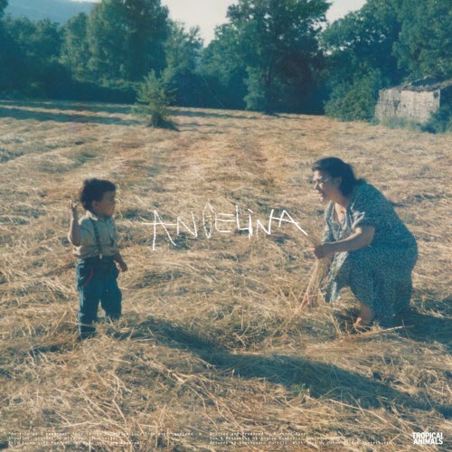 Ricardo Baez - Angelina (2024) [Single]
