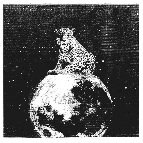NEVER - REVXK (2026) [Single]