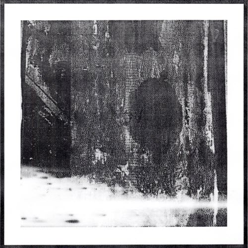 TigJez - Colorless (2026) [EP]