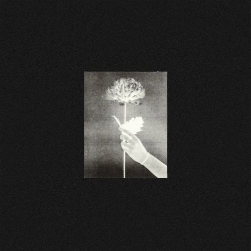 White Flowers - Day By Day (2021)