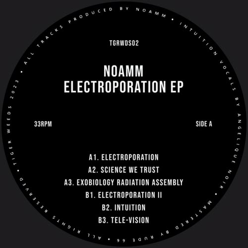 Noamm - Electroporation (2023) [EP]