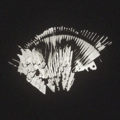 Permanent Shadows - Anx (2026) [EP]