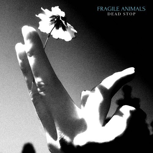 Fragile Animals - Dead Stop (2026) [EP]