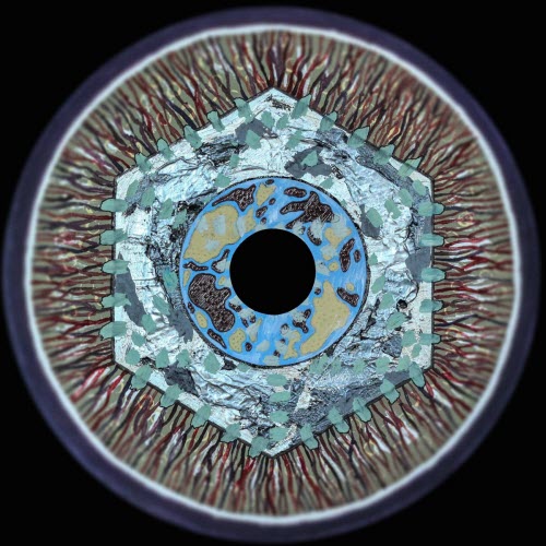 Cinna Peyghamy - Gamut (2017)