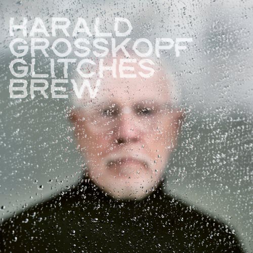 Harald Grosskopf - Glitches Brew (2026)