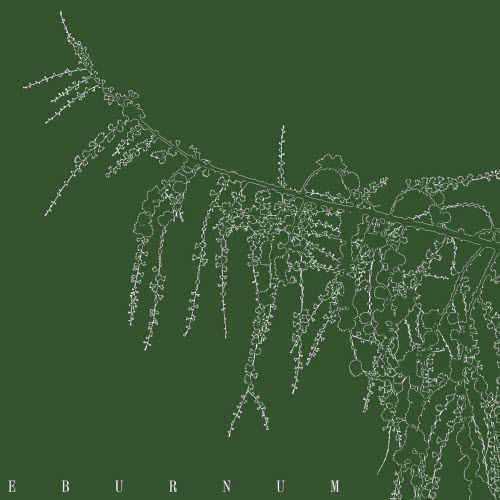 Atropa - Eburnum (2018)