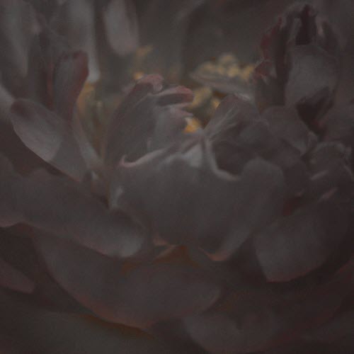 Atropa - Oneirophagia (2026)