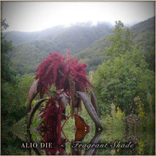 Alio Die - Fragrant Shade (2026)