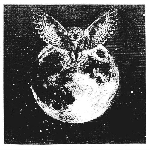 NEVER - Echxes (2026) [Single]