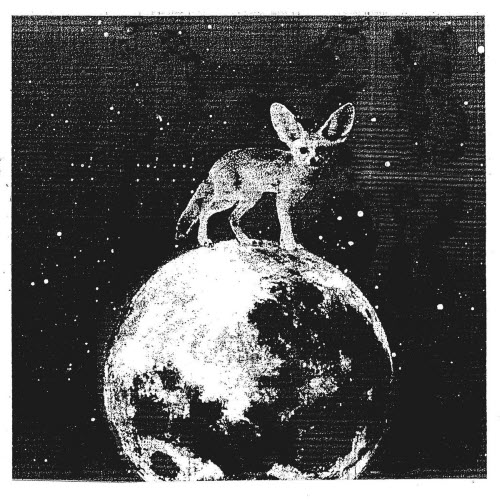 NEVER - Is This Real (2026) [Single]