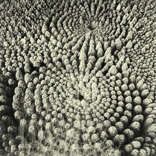 Grivo - Impose (2026)
