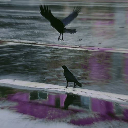 Skyplant - Dark Mirrors And Empty Hats (2024) [Single]