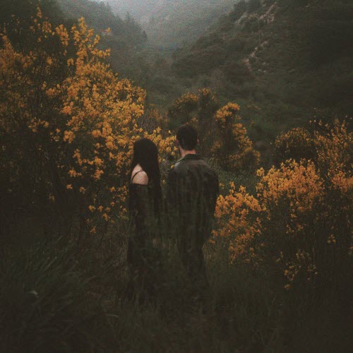 Feather & Bone - Blossoming (2026) [Single]