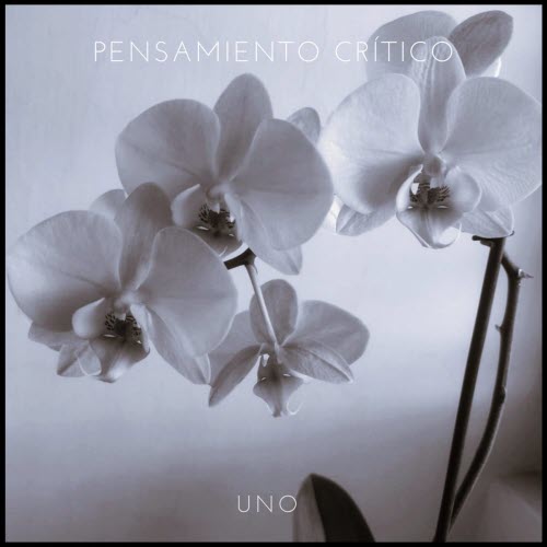 Pensamiento Crítico - Uno (2024)