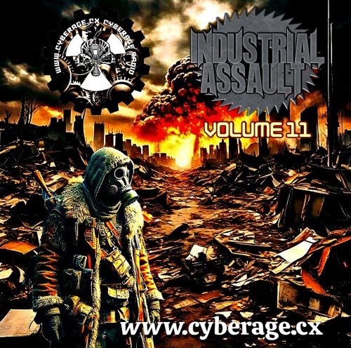 VA - Industrial Assault Vol. 11 (2026)