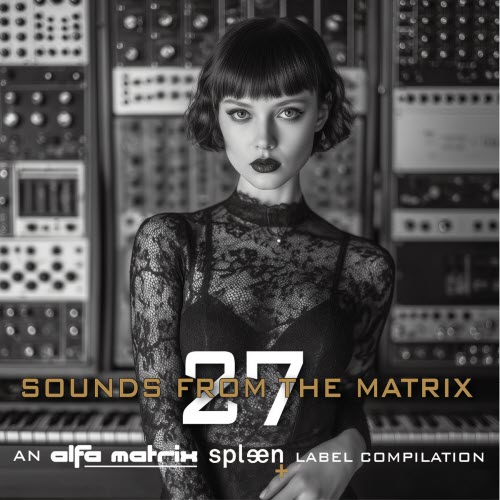 VA - Sounds From The Matrix 027 (2026)