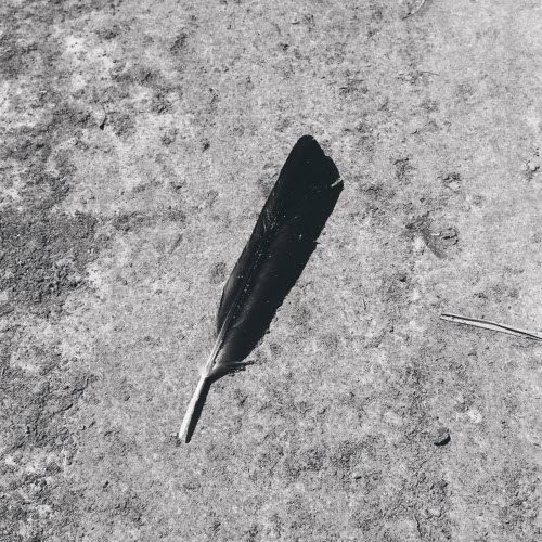 Function - Green (2023) [EP]