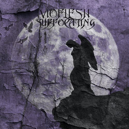 Vioflesh - Suffocating (2026) [Single]