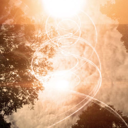 Solenoide - Polillas (2026) [Single]