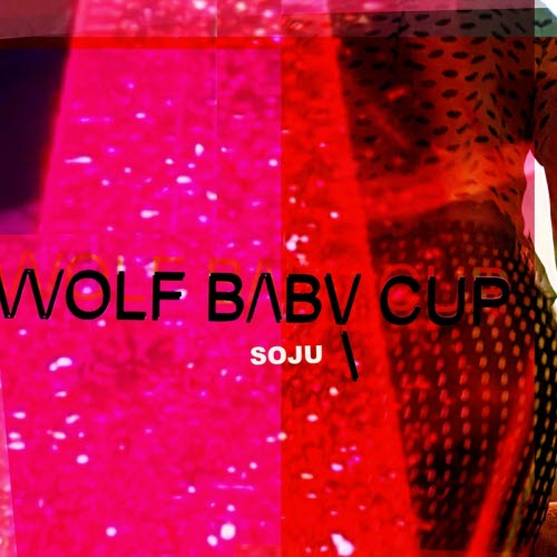 Wolfbabycup - Soju (2024) [Single]