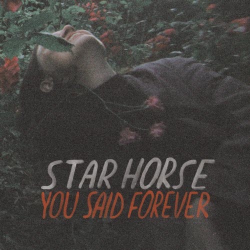 Star Horse - You Said Forever (Deluxe Edition) (2019)