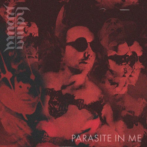 Burn My Shallow Ground - Parasite In Me (2026) [Single]
