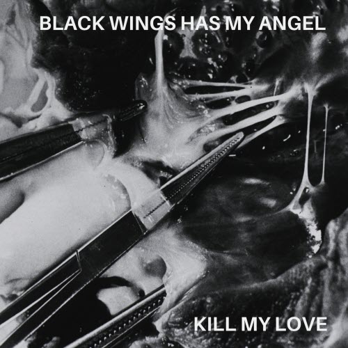 Black Wings Has My Angel - Kill My Love (2026) [Single]