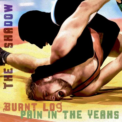 Burnt Log & Pain In The Yeahs - The Shadow (2026) [Single]