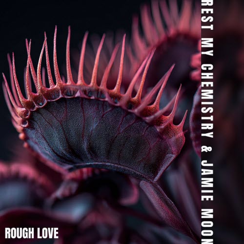 Rest My Chemistry - Rough Love (2026) [Single]
