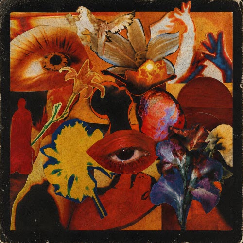 Teaching In Trips - Eternal Spring (2026) [Single]