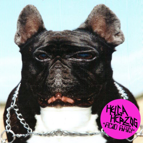 Helga Herzog - Acid Rain (2026) [Single]