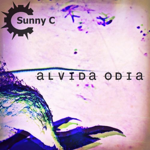Sunny C - Alvida Odia (2020)