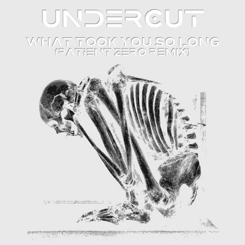 Undercut - What Took You So Long (Patient Zero Remix) (2026) [Single]