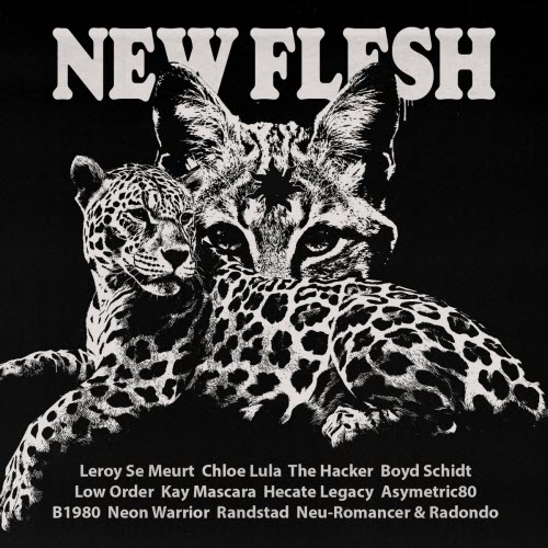 VA - New Flesh II (2023)
