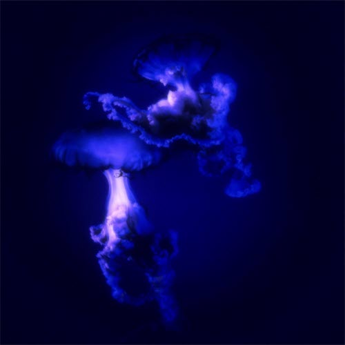 Waves Crashing - In The Blur (Remixed) (2026) [EP]