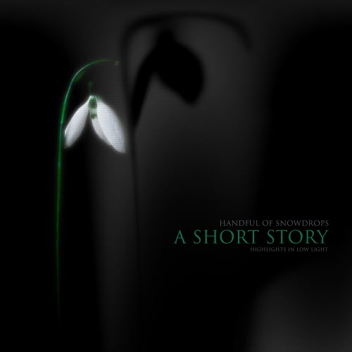 Handful Of Snowdrops - A Short Story (Highlights In Low Light) (2020)
