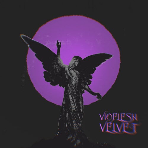 Vioflesh - Velvet (2026) [Single]