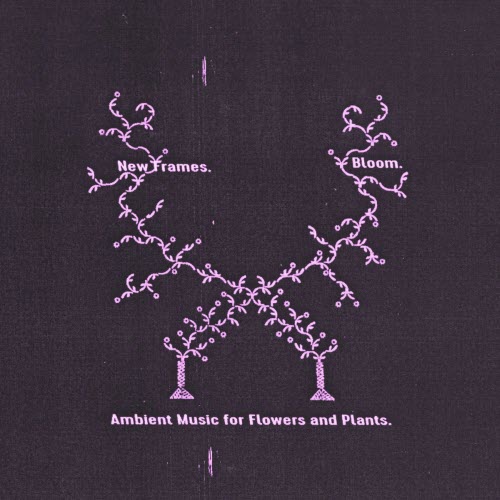 New Frames - Bloom. Ambient Music For Flowers And Plants. (2026)
