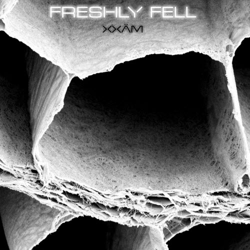 Xxäm - Freshly Fell (2026) [EP]