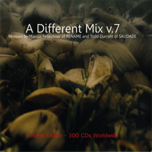 VA - A Different Mix 7 (Remixes By Marcus Fellechner Of Rename And Todd Durrant Of Saudade) (2011)