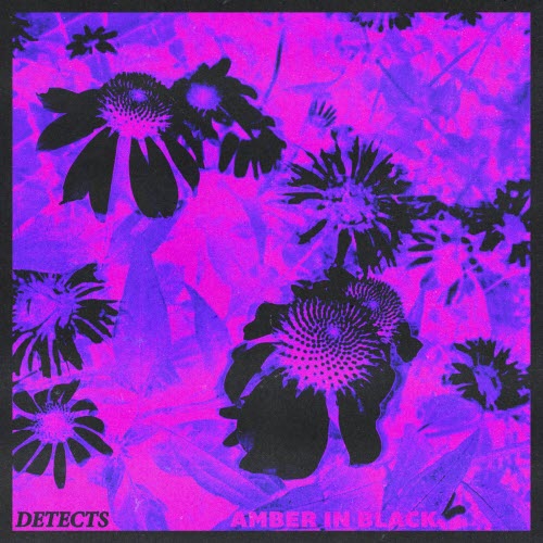 Detects - Amber In Black (2026) [Single]