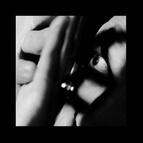 Pig - An American Ideal Of Beauty (2026) [Single]