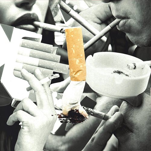 Hxvsfly - Cigarette (2026) [Single]