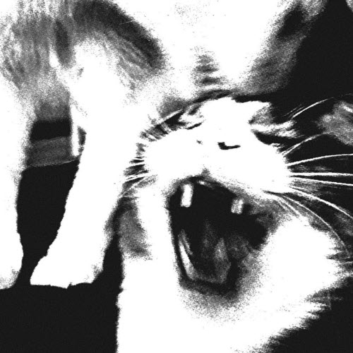 Hxvsfly - Ctrl (2026) [Single]